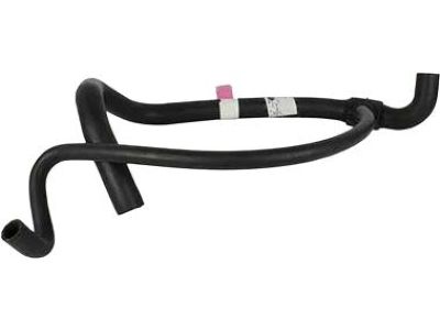 Lincoln Town Car Cooling Hose - F1VY-8286-B