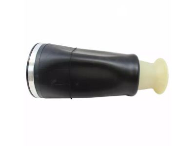 Mercury Air Suspension - F8VZ-5560-AA