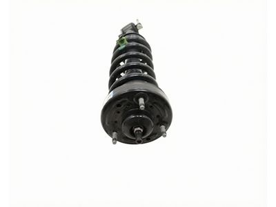 Ford Expedition Coil Springs - JL1Z-5310-W