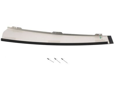 Ford 1L1Z-7820982-AA Moulding - Door Window Frame