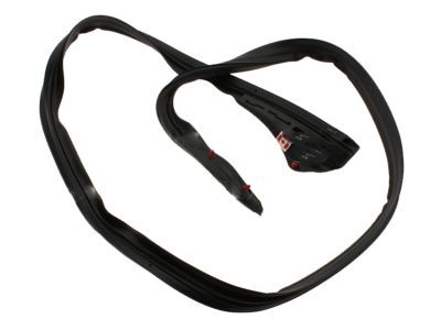 Ford AL3Z-1651223-A Weatherstrip