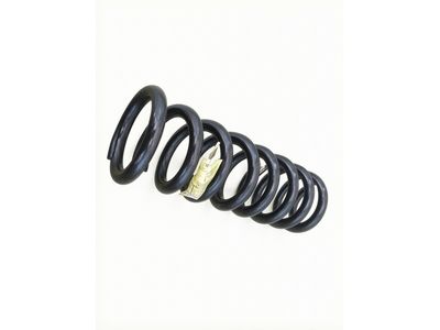 Ford E-450 Super Duty Coil Springs - F2UZ-5310-V