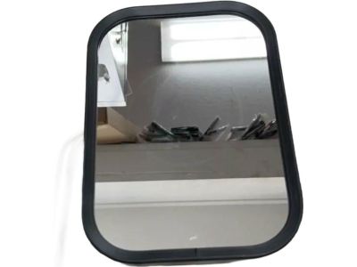 2002 Ford E-450 Super Duty Car Mirror - F2UZ-17696-A