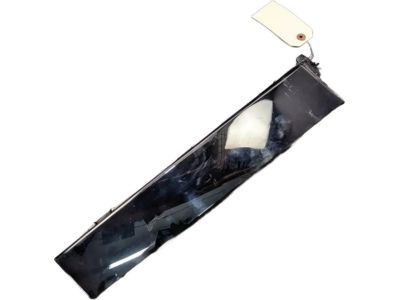 2017 Ford Escape Door Moldings - CJ5Z-78255A35-AB