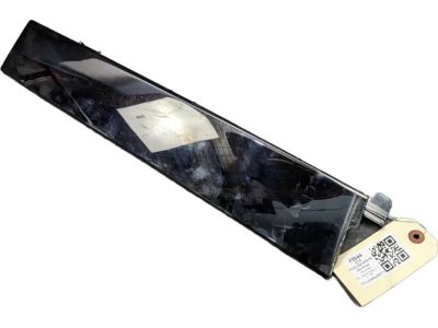 2017 Ford Escape Door Moldings - CJ5Z-78255A35-AB