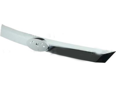 Mercury Grille - AE5Z-8200-ACP