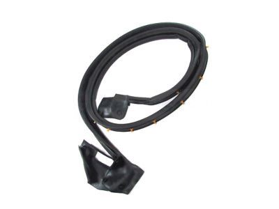 Ford F-250 Weather Strip - F85Z-1503110-AA