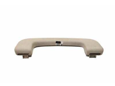 LC5Z-5831406-EC Ford Handle Assist Product Photo 1 of 4
