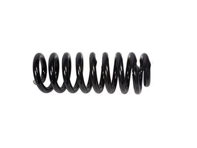 2005 Ford F-350 Super Duty Coil Springs - F81Z-5310-EA