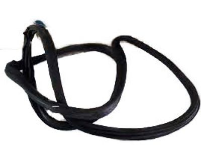 Ford BE8Z-5825324-A Weatherstrip