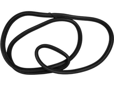 Ford FT4Z-58404A06-B