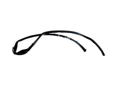 Ford 8L8Z-78101A89-A Weatherstrip