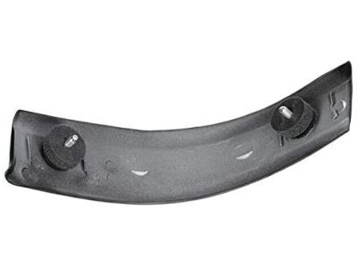 Ford 1C3Z-2851729-AAPTM Moulding - Roof Side Trim