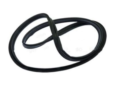 Ford Fusion Weather Strip - DS7Z-5443720-F