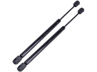 Ford Expedition Lift Support - 2L1Z-16C826-AA