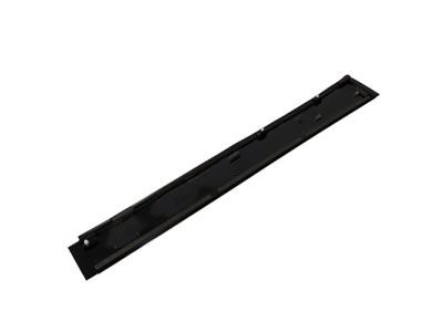 Ford FT4Z-5851969-A Panel - Roof Trim - Centre