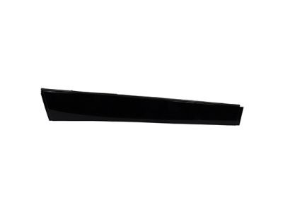 Ford FT4Z-5851969-A Panel - Roof Trim - Centre
