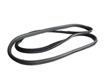 Ford CE8Z-5420708-A Weatherstrip Assembly - Door Opening