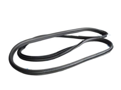 Ford Fiesta Weather Strip - CE8Z-5420708-A