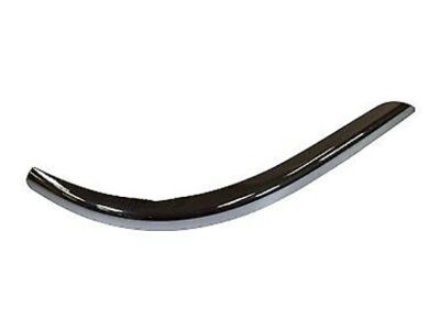 Ford 3W4Z-17C830-AB Moulding - Bumper Bar