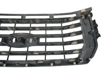 Ford FL3Z-8200-VPTM Grille Assembly - Radiator