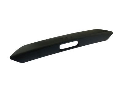 Ford Transit Connect Tailgate Handle - DT1Z-5843400-AA