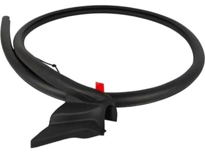 2016 Ford Mustang Weather Strip - FR3Z-7620709-A