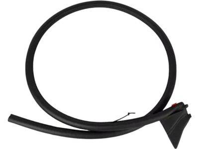 2016 Ford Mustang Weather Strip - FR3Z-7620709-A