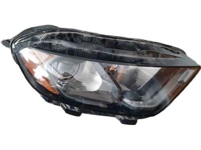 Ford EcoSport Headlight - GN1Z-13008-BL