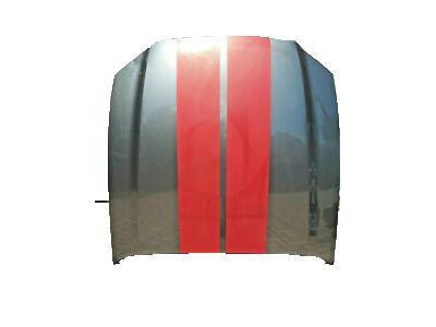 Ford DR3Z-16612-B Hood Assembly