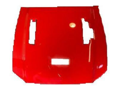 Ford DR3Z-16612-B Hood Assembly