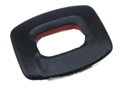 Ford CV6Z-54624A08-BA Bezel - Latch