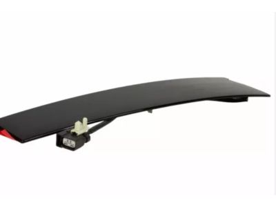 2013 Lincoln MKS Door Moldings - CA5Z-5420555-BA