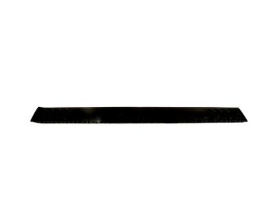 Ford 9L3Z-1613209-BA Plate - Door Scuff