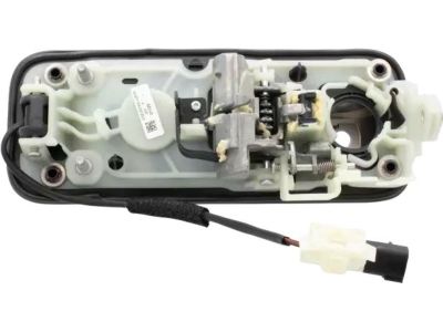 2019 Ford F-350 Super Duty Door Handle - JC3Z-2522405-KAPTM