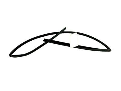 Ford AE8Z-5421596-B Run - Door Glass