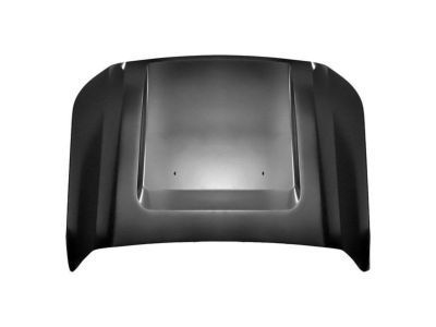 Ford BC3Z-16612-A Hood Assembly