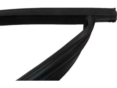 Ford Focus Window Run - CV6Z-5821597-A