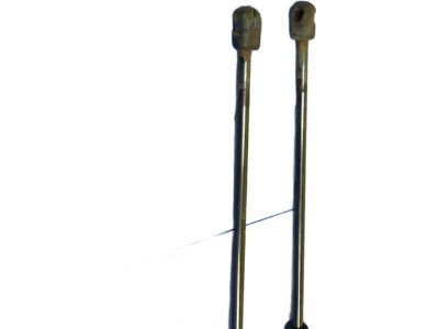 Lincoln MKS Lift Support - AA5Z-54406A10-A