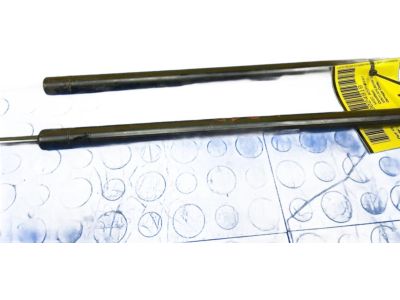 Lincoln MKS Lift Support - AA5Z-54406A10-A