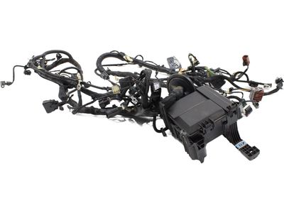 Ford LL1Z-14290-AP