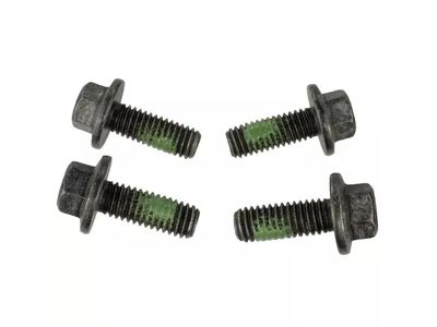 -W701219-S450B Ford Bolt Product Photo 2 of 3