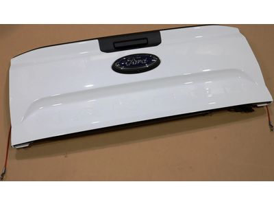 N1WZ-2640110-D Ford Tailgate Assembly Less Hinges   Product Photo 1 of 4