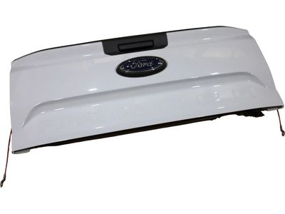 N1WZ-2640110-D Ford Tailgate Assembly Less Hinges   Product Photo 2 of 4