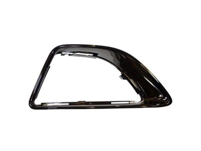 Ford BE5Z-17E811-KA Grille - Bumper