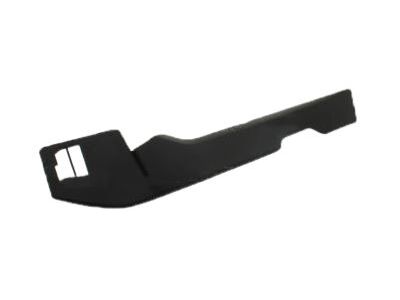 Ford FL3Z-1504609-CJ Panel Assembly - Instrument Trim