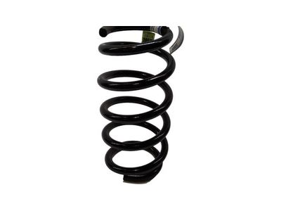 Lincoln MKX Coil Springs - BT4Z-5560-P
