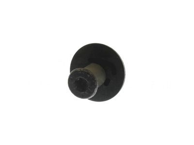 Ford Rear Door Striker - F6TZ-99404A42-AA