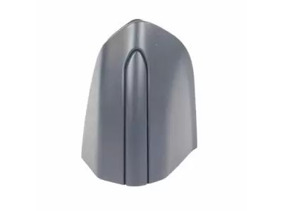 GS7Z-54218A14-AA Ford Door Locking Mechanism Cap Product Photo 1 of 2