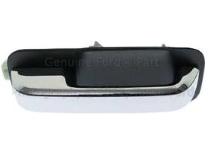 2017 Ford F-250 Super Duty Door Handle - HC3Z-2626605-DAPTM